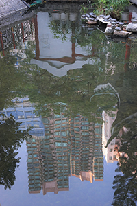 Reflection on a pond, Hollywood Road Park, Sheung Wan, 28 December 2019
