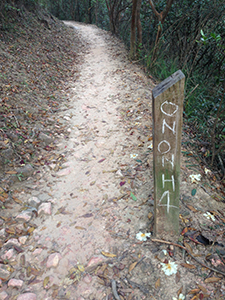 Chalked sign left by Hash House Harriers on the Hong Kong Trail, Hong Kong Island, 1 December 2019