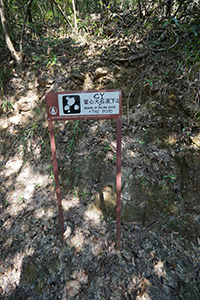 Graffiti on a sign, Pokfulam Country Park, 1 December 2019