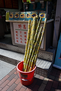 Sugar cane outside a shop selling sugar cane juice, near Western Market, Sheung Wan, 21 December 2019