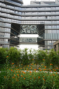 K11 Musea, Tsim Sha Tsui, 22 December 2019