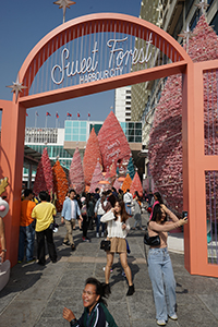 Christmas decorations, Harbour City, Tsim Sha Tsui, 26 December 2019
