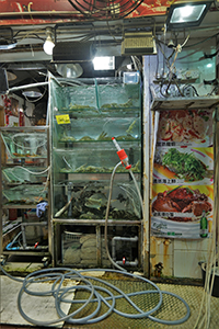 Seafood tank, Woosung Street, Yau Ma Tei, 26 December 2019