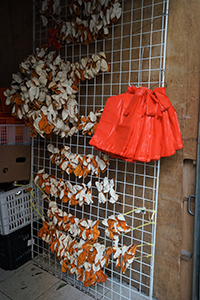 Dried tangerine peels, Yau Ma Tei, 26 December 2019