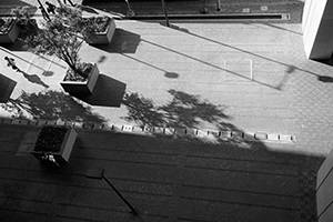 Light and shadow, Tsing Yi, 24 July 2019