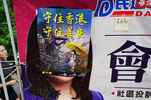 Posters on a banner belonging to pro-China party DAB, Sha Tin, 14 July 2019