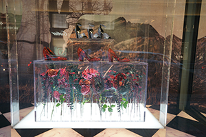 Prada shop window display, Ice House Street, Central, 27 September 2019