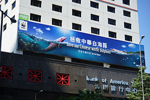 WWF advertisement on the Bank of America Tower, Central, 16 October 2019