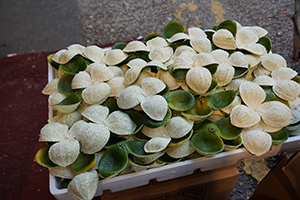 Peeled tangerines, Yau Ma Tei Fruit Market, Reclamation Street, Kowloon, 20 October 2019