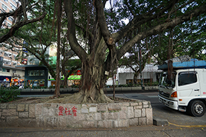 Graffiti on Nathan Road, Kowloon, 21 October 2019