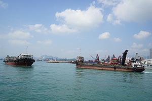 Vessels in the New Yau Ma Tei Typhoon Shelter, West Kowloon, 25 October 2019