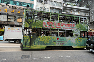 Government warning about trees, Des Voeux Road West, Sheung Wan, 31 October 2019