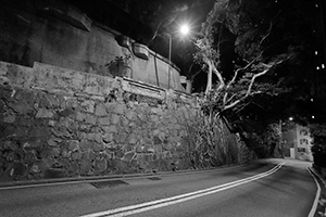 Street scene at night with a wall tree, Park Road, Hong Kong Island, 27 November 2019