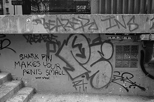 Graffiti, Ladder Street, Tai Ping Shan, 29 December 2019