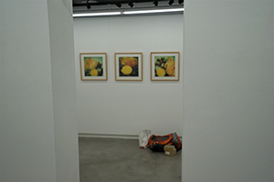 Artwork by David Clarke installed in the Visual Art Centre, Kennedy Road, 11 December 2019