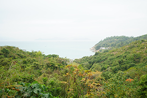 View towards Luk Chau Wan, Lamma Island, 15 December 2019