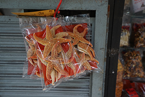 Dried starfish for sale, Queen's Road West, Sai Ying Pun, 16 December 2019