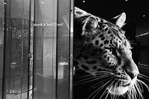 Cartier shop inside K11 Musea, Tsim Sha Tsui, 22 December 2019
