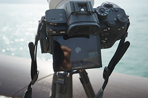 Image of a solar eclipse, Tsim Sha Tsui, 26 December 2019