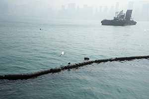 A egret viewed from the Tsim Sha Tsui waterfront, 26 December 2019